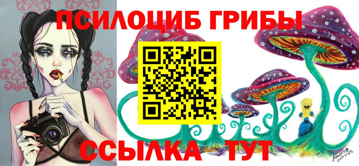 Галлюциногенные грибы GOLDEN TEACHER Чернушка